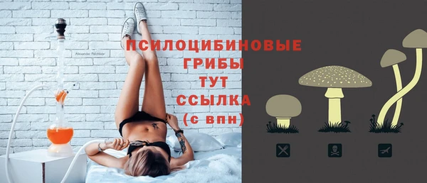 скорость Дмитриев