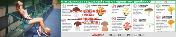 скорость Дмитриев