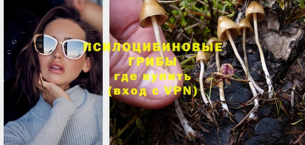 Альфа ПВП Дмитров