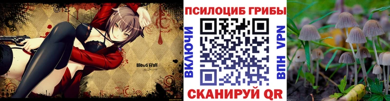 Галлюциногенные грибы мухоморы  Чухлома 